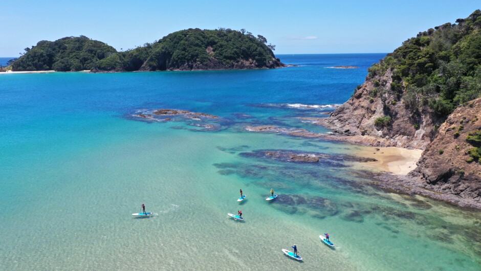 Tutukaka Coast Stand up Paddle Board Surf Tour