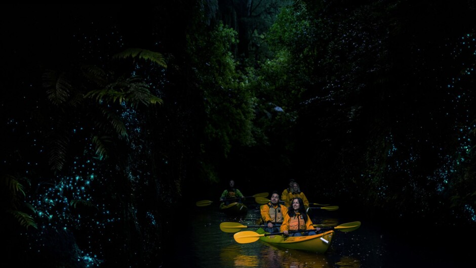 Twilight Kayak Glowworm Tour