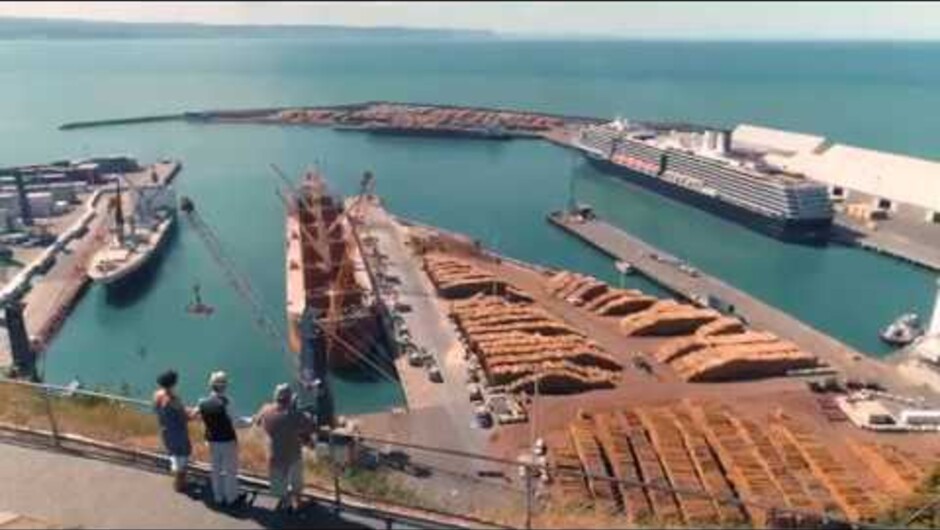 Take a tour with Art Deco Trust and learn of Napier's amazing history and rebirth. visit our website today to book your tour.