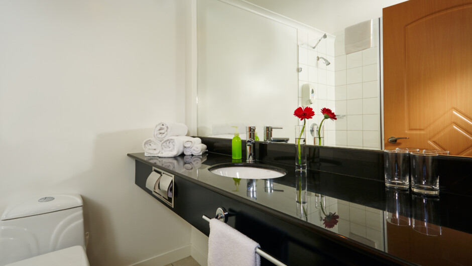 Typical Bathroom