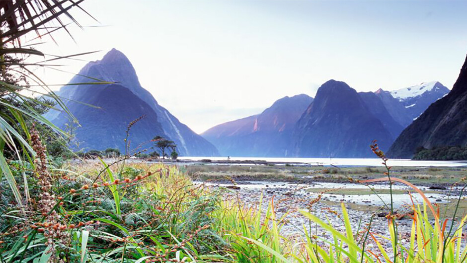 Milford Sound - Fiordland National Park