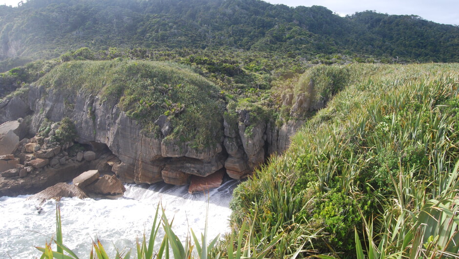 Paparoa National Park - Pancake Rocks