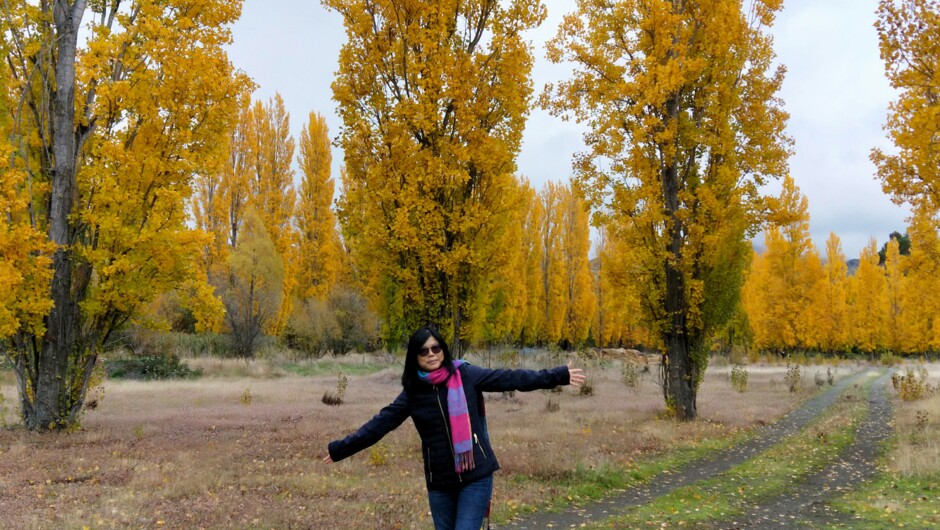 Autumn of New Zealand in April 2019