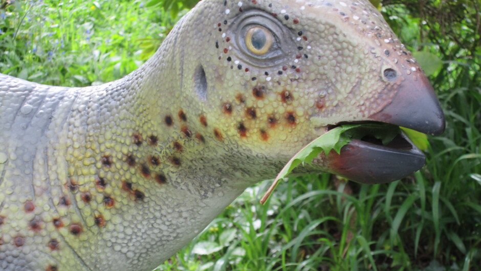 Hypsilophodon - dinosaur names can be hard to pronounce.
