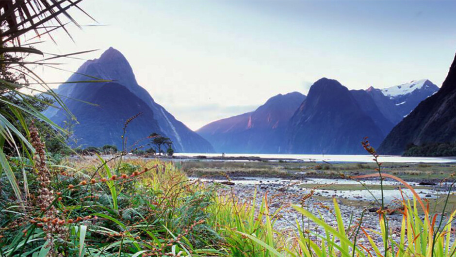 Milford Sound - Fiordland National Park