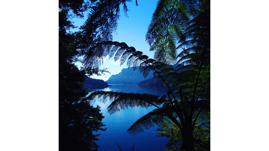 Get a taste for the rich cultural and geological history of Lake Waikaremoana, Te Urewera