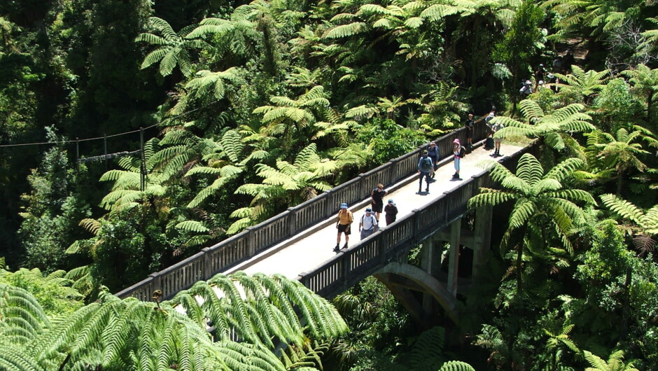 The iconic Bridge to Nowhere