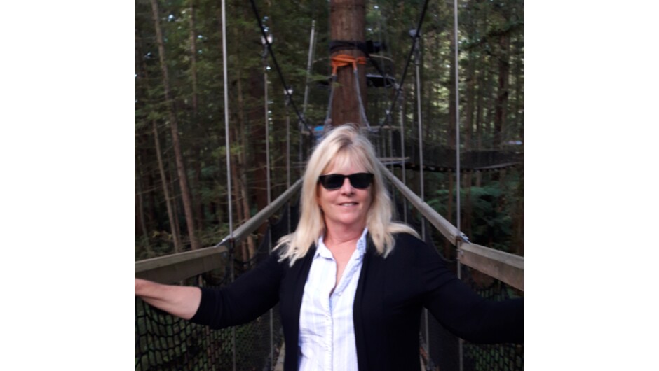 Redwood Treewalk in Rotorua.