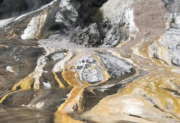 “뉴질랜드의 가장 멋진 지열지대로 오라케이 코라코를 꼽을 수 있다." - 론리 플래닛 여행안내서