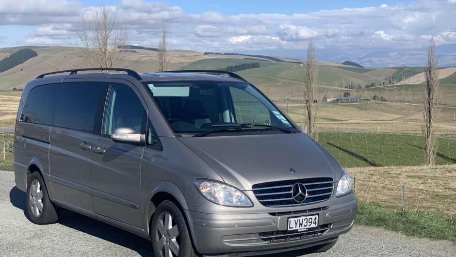 Mercedes Viano