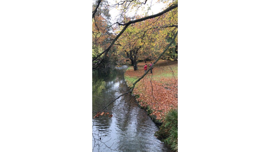 Avon River Christchurch