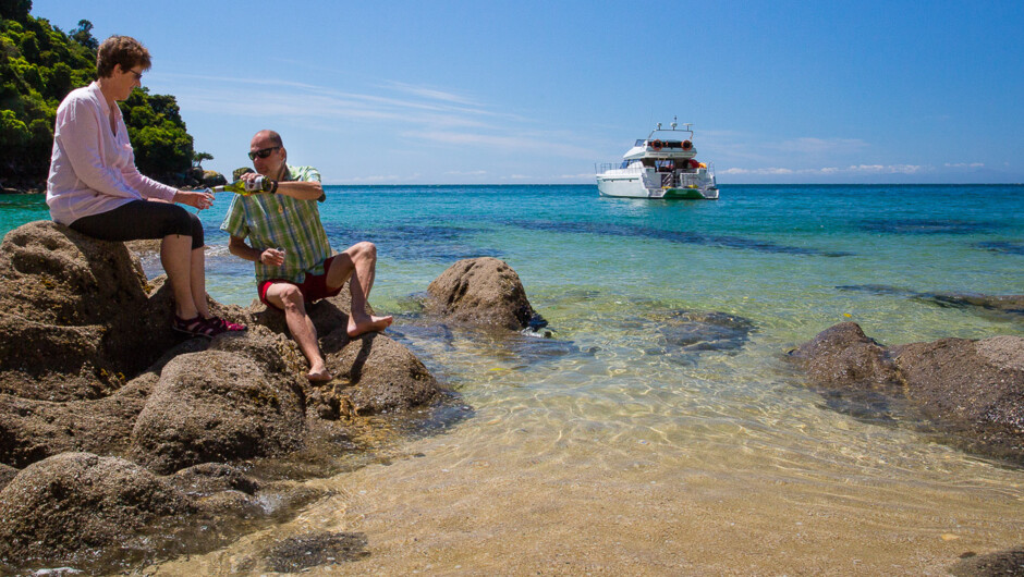 The Abel Tasman National Park is renowned for its beautiful beaches.