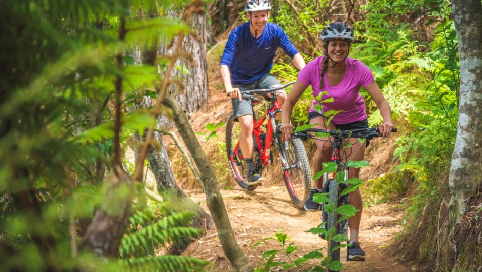 Lots of tracks for all abilities and ages. There are some cruisy, flatter tracks; as well as steeper uphill and downhill riding.