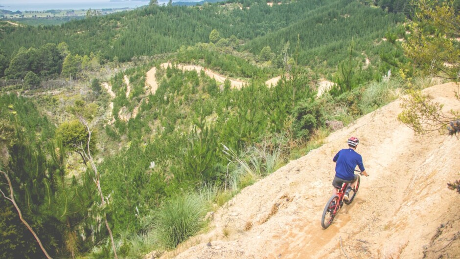 Great views as you explore the Waitangi MTB Park.