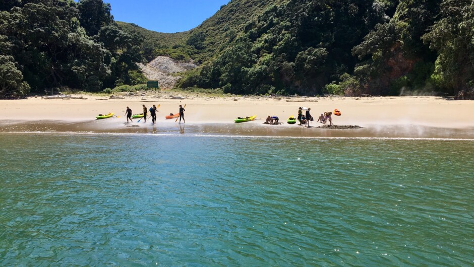 The hot water beach at Onepu , Moutohorā / Whale Island