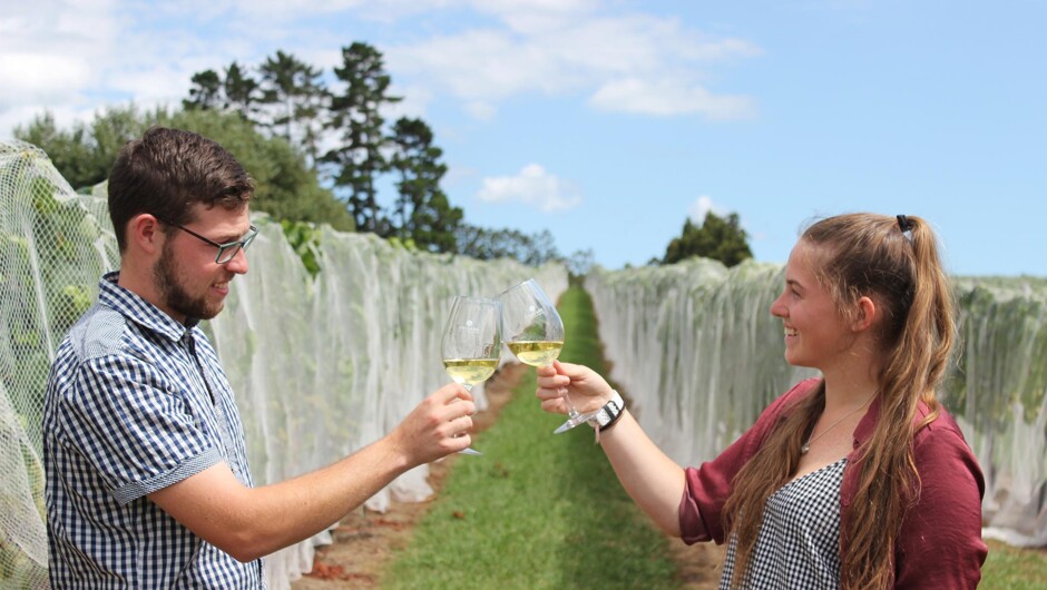 5th Generation Chardonnay Cheers!