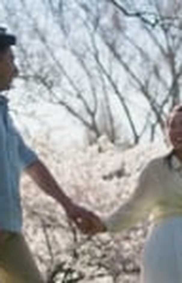 loading placeholder image