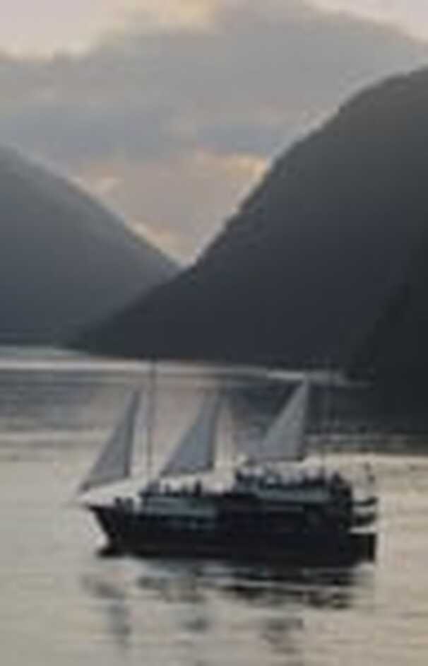 loading placeholder image